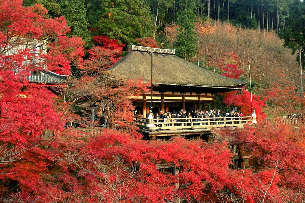 Вилла Rin Kyoto Kinkaku-Ji Temple Экстерьер фото