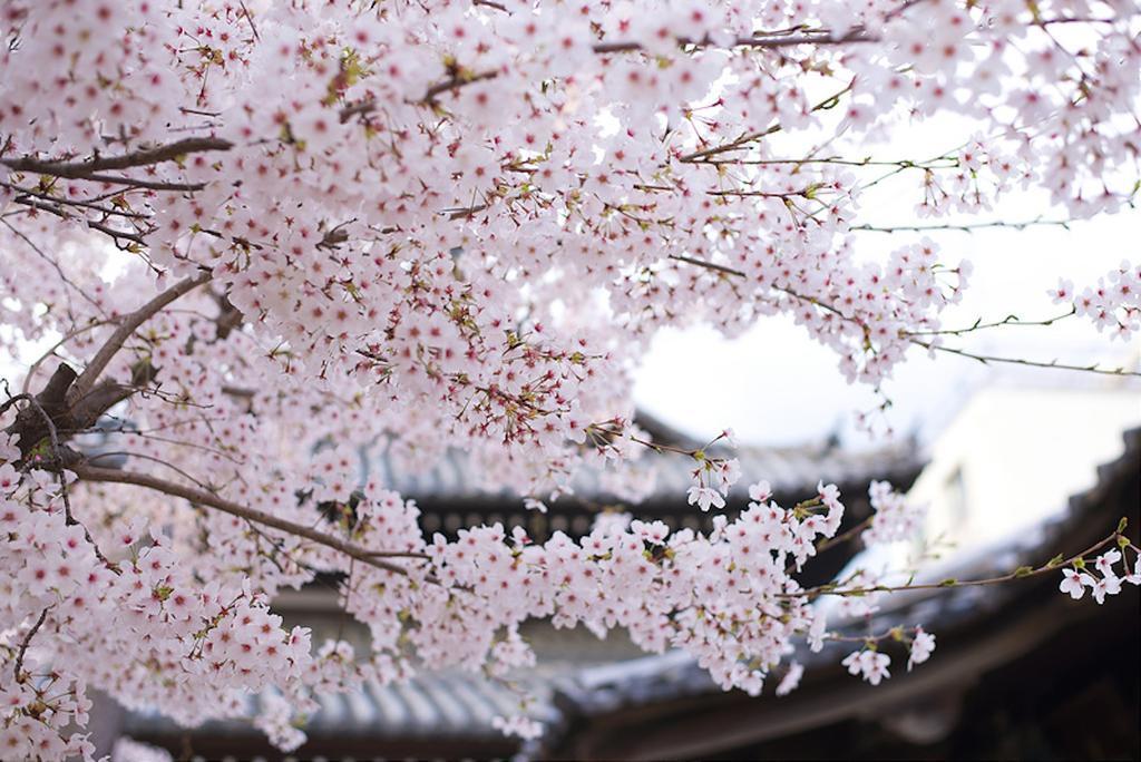 Вилла Rin Kyoto Kinkaku-Ji Temple Экстерьер фото